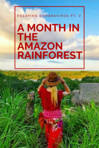 Escaping Coronavirus pt. 2: A Month in the Amazon Rainforest