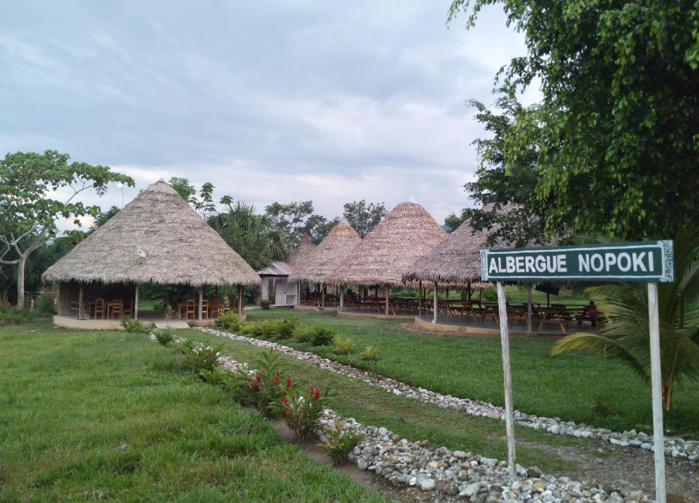 Escaping Coronavirus pt. 2: A Month in the Amazon Rainforest 6 Albergue Nopoki Adventure & solo female travel blog