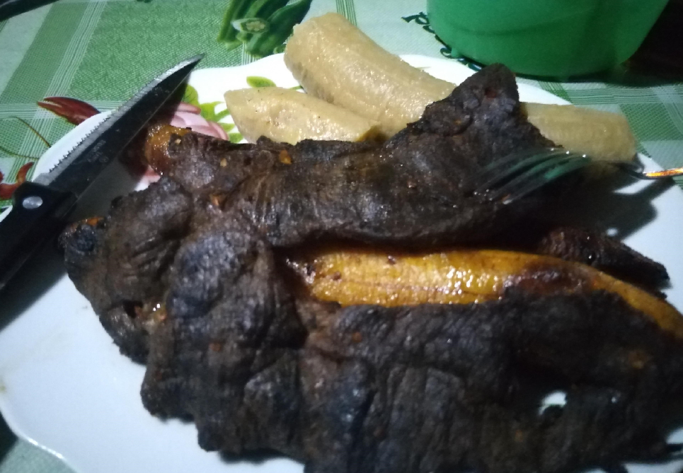 Escaping Coronavirus pt. 2: A Month in the Amazon Rainforest 16 deersteak Adventure & solo female travel blog