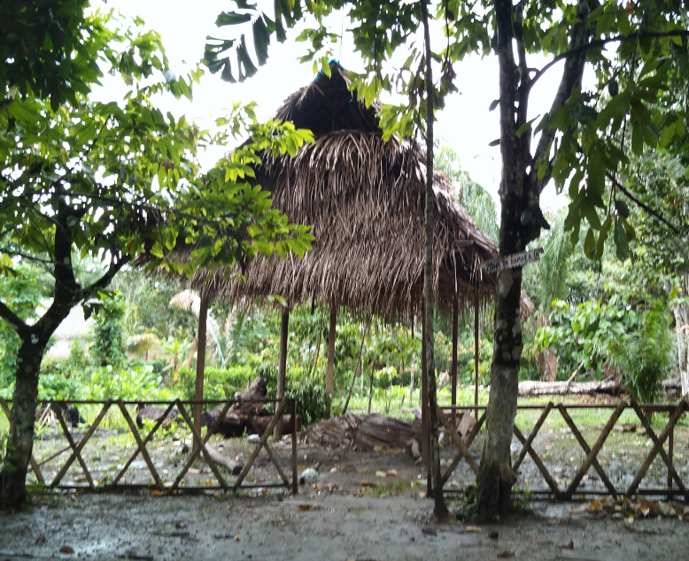 Escaping Coronavirus pt. 2: A Month in the Amazon Rainforest 10 house Adventure & solo female travel blog