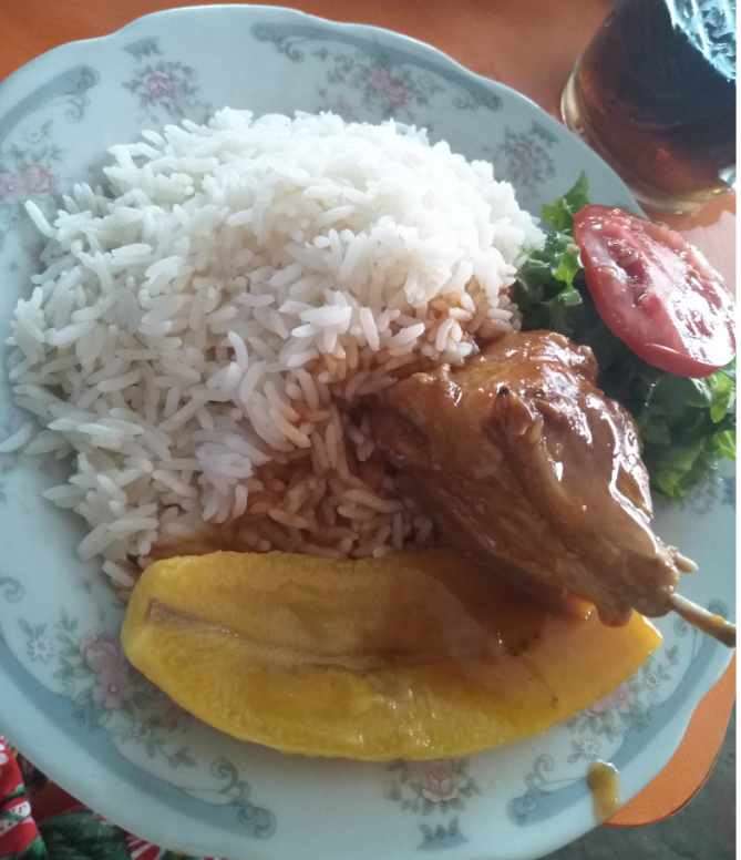Escaping Coronavirus pt. 2: A Month in the Amazon Rainforest 15 majas Adventure & solo female travel blog