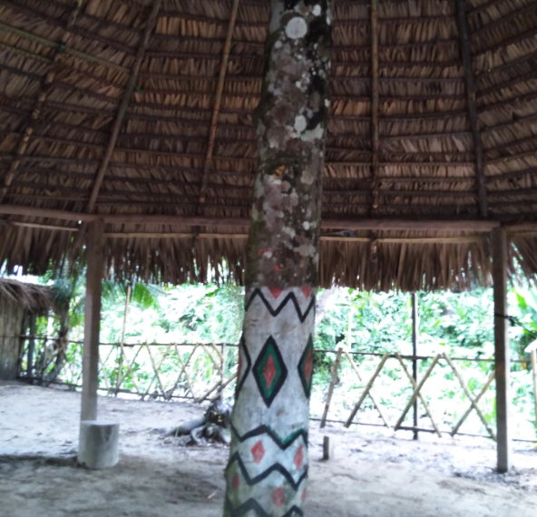 Escaping Coronavirus pt. 2: A Month in the Amazon Rainforest 11 round Adventure & solo female travel blog
