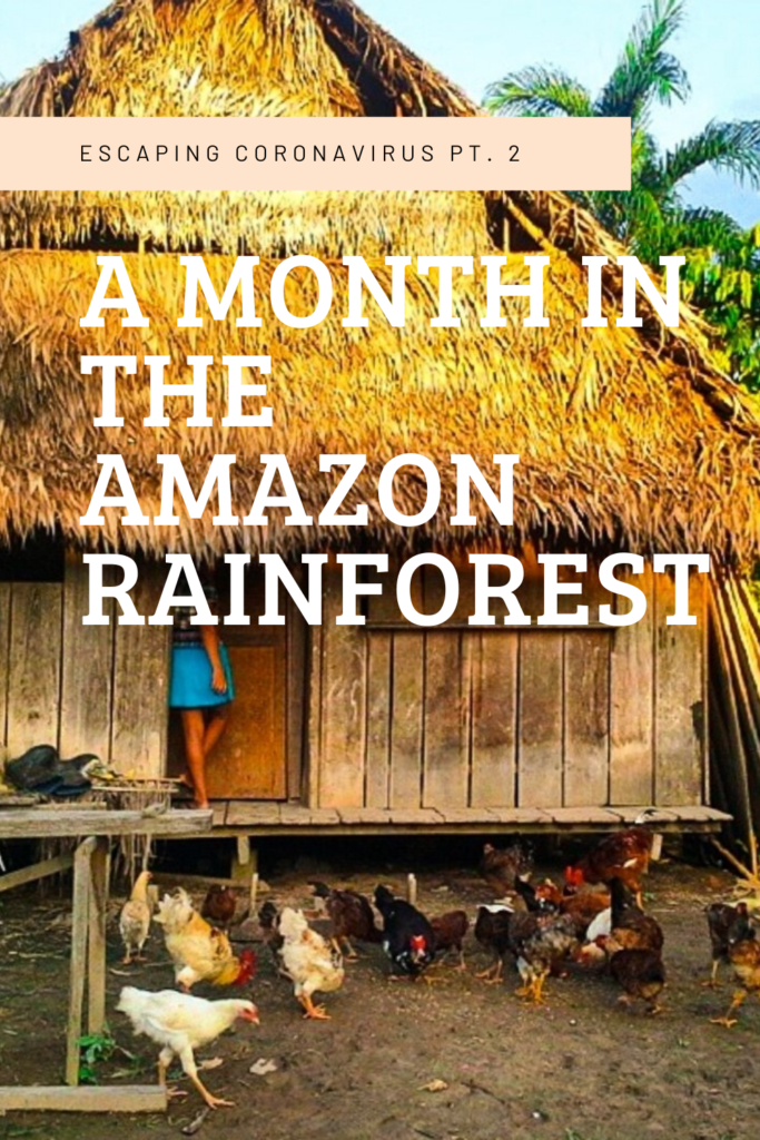 Escaping Coronavirus pt. 2: A Month in the Amazon Rainforest 19 A Month In the amazon rainforest 2 Adventure & solo female travel blog