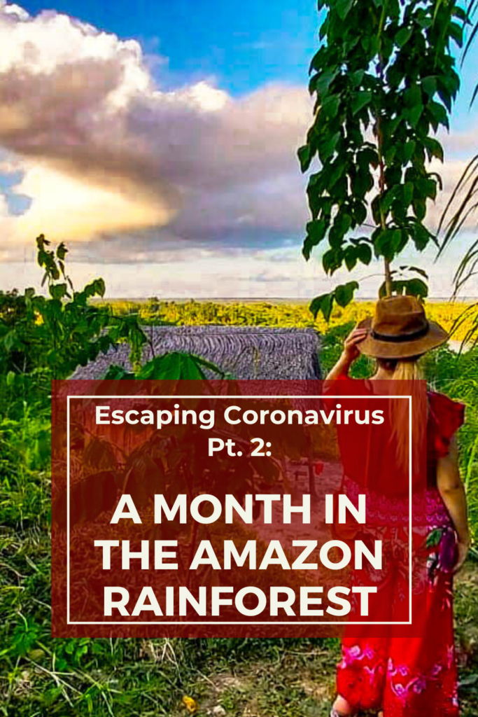 Escaping Coronavirus pt. 2: A Month in the Amazon Rainforest 18 Escaping Coronavirus Pt. 2 1 1 Adventure & solo female travel blog