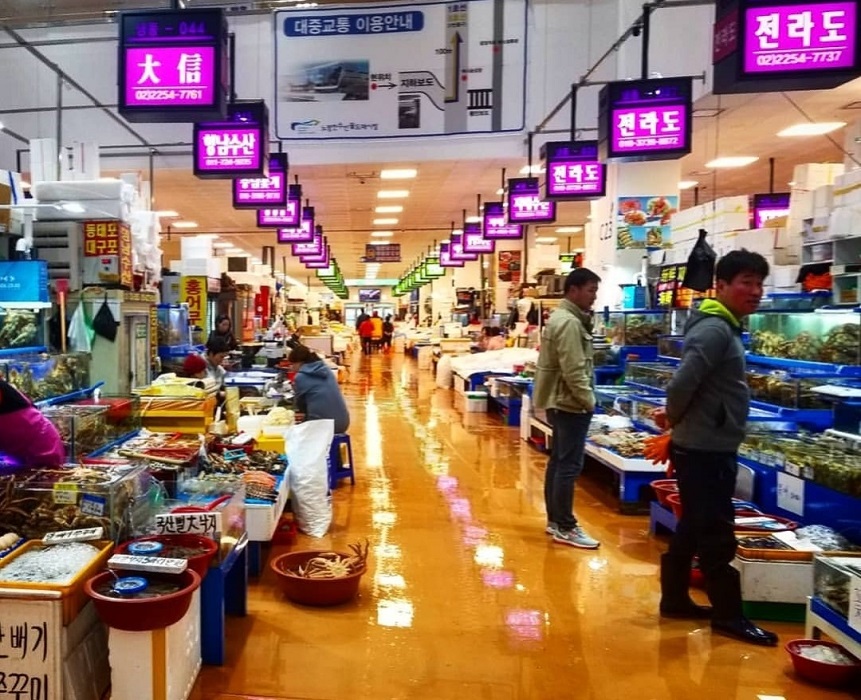 Noryangjin Fish Market On A Layover: 5 Things To Know Before You Go 2 Visiting Noryangjin Fish Market on my layover at 8 am.