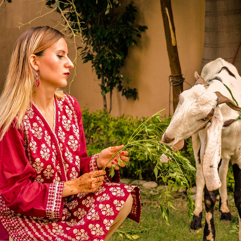 Celebrating Eid Al-Adha In Pakistan: My Eye-Opening Experience 9 Eid al-Adha Mubarak 2020!