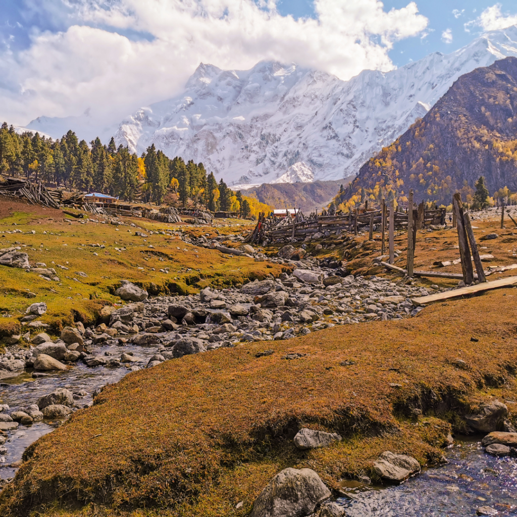 Fairy Meadows And Nanga Parbat Basecamp Trek - Everything You Need To Know 8 Fairy Meadows in October.