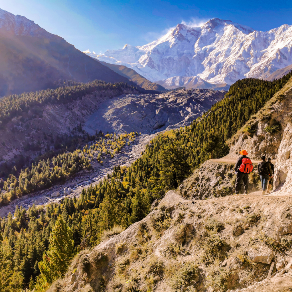 Fairy Meadows And Nanga Parbat Basecamp Trek - Everything You Need To Know 12 Trek to Fairy Meadows from Tattu Village.