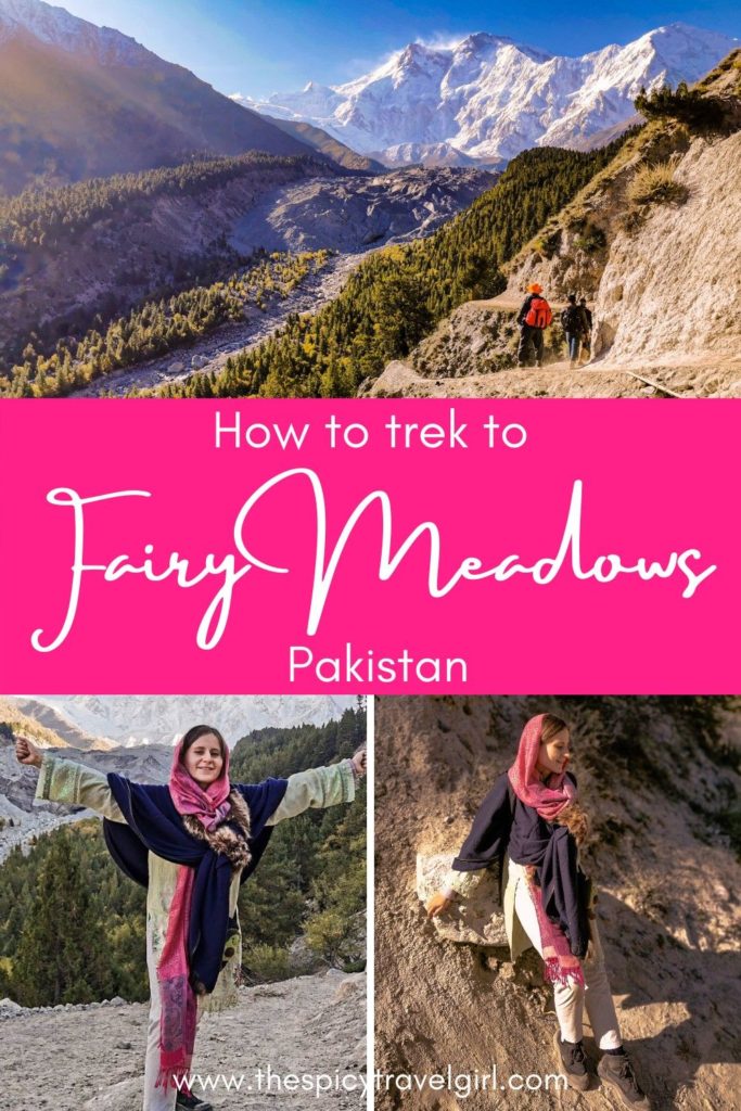 Fairy Meadows And Nanga Parbat Basecamp Trek - Everything You Need To Know 5 How To Trek To FAIRY MEADOWS Pakistan Travel Adventure & solo female travel blog