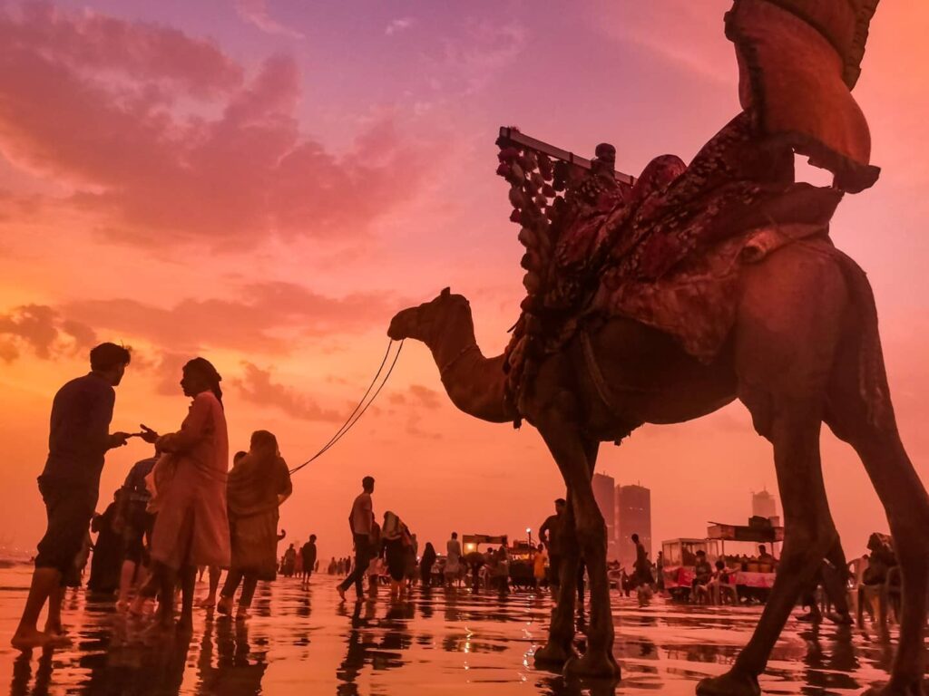 Secret Balochistan - 10 Days Tour To One Of The LEAST VISITED PLACES ON EARTH 4 Sunset at Seaview Beach in Karachi, Pakistan. The beach is crowded and the sky pink and purple, with a decorated camel in the foreground.